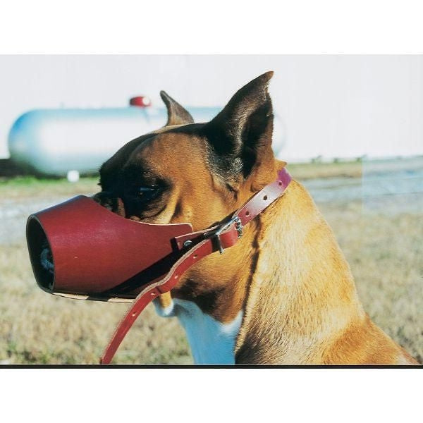 Dog Muzzles