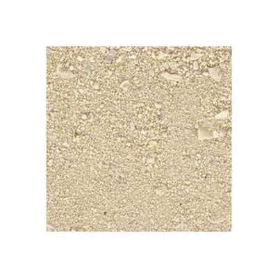 Caribsea Ocean Direct Natural Live Sand 20lb