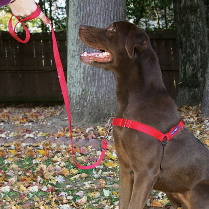 PetSafe Easy Walk Dog Harness