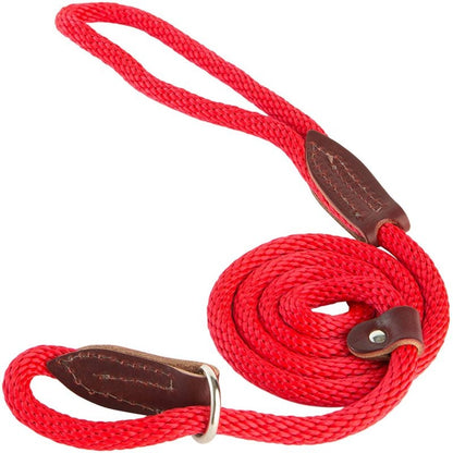 Slip Lead for Dogs