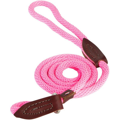 Slip Lead for Dogs