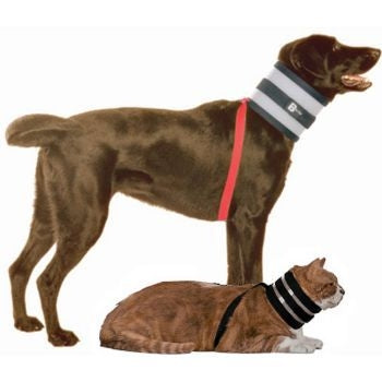 BiteNot Pet Collar