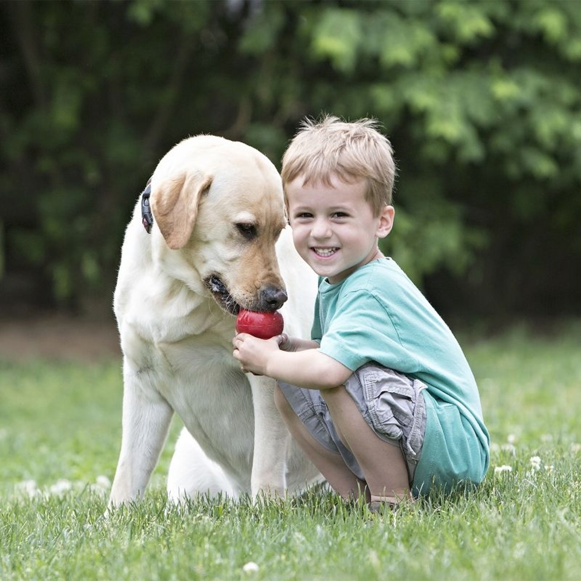 KONG Classic Rubber Dog Toy