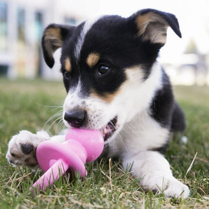 Puppy KONG Binkie 2-9 Months