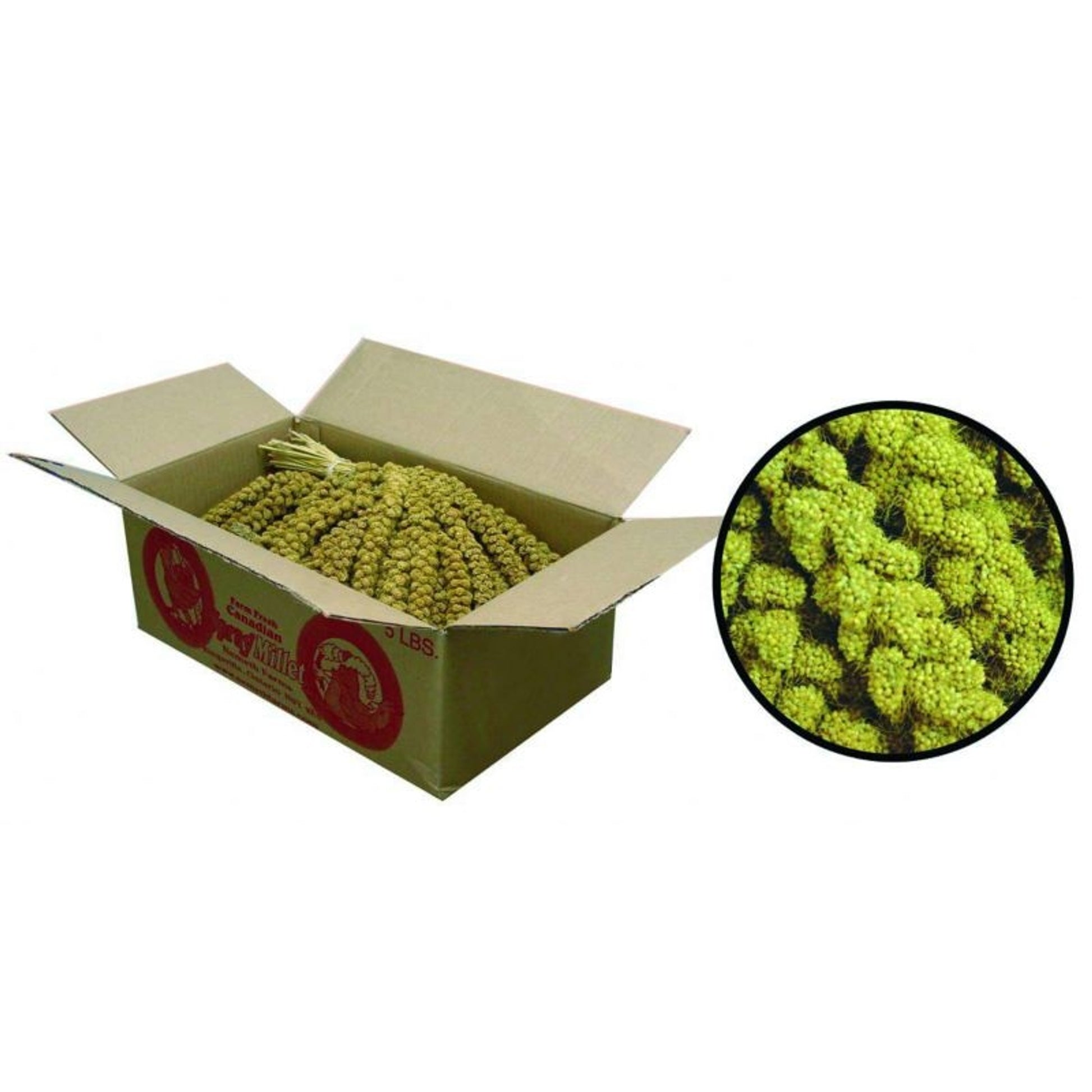 FM Browns Golden Millet Spray Bird Treat