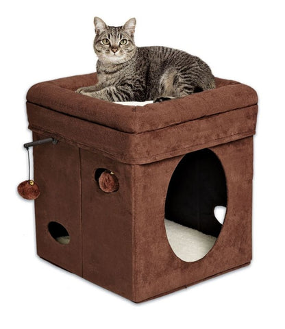 Midwest Curious Cat Cube