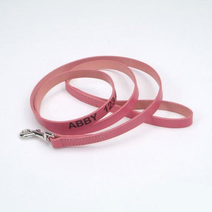 Personalized 6ft Leather Dog Lead