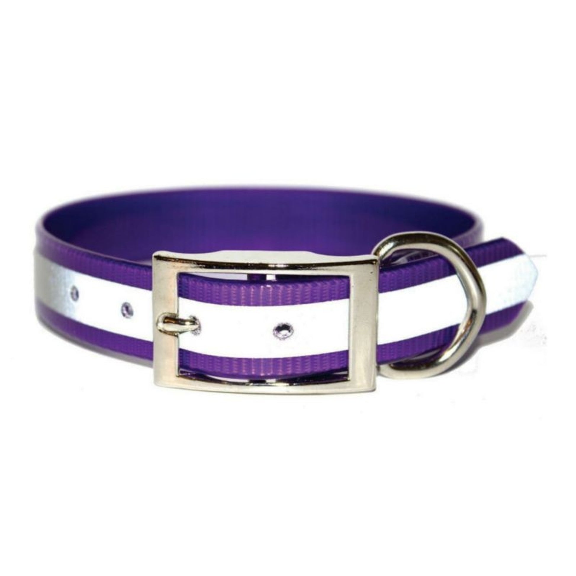 SunGlo Reflective Dog Collar