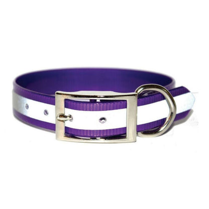 SunGlo Reflective Dog Collar