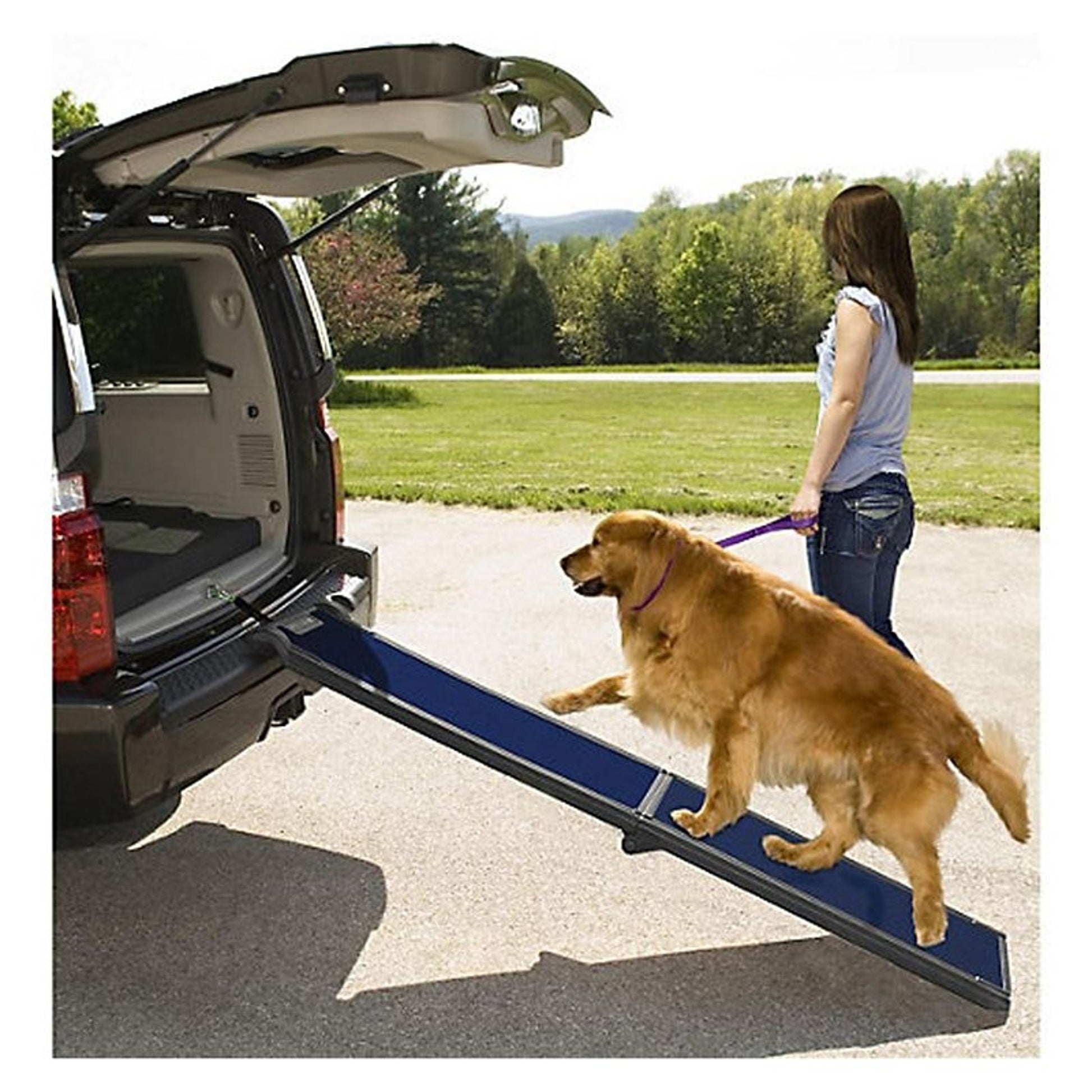 Bi Fold Van Ramp Travel Lite Bi-Fold Ramp– 1800PetSupplies.com