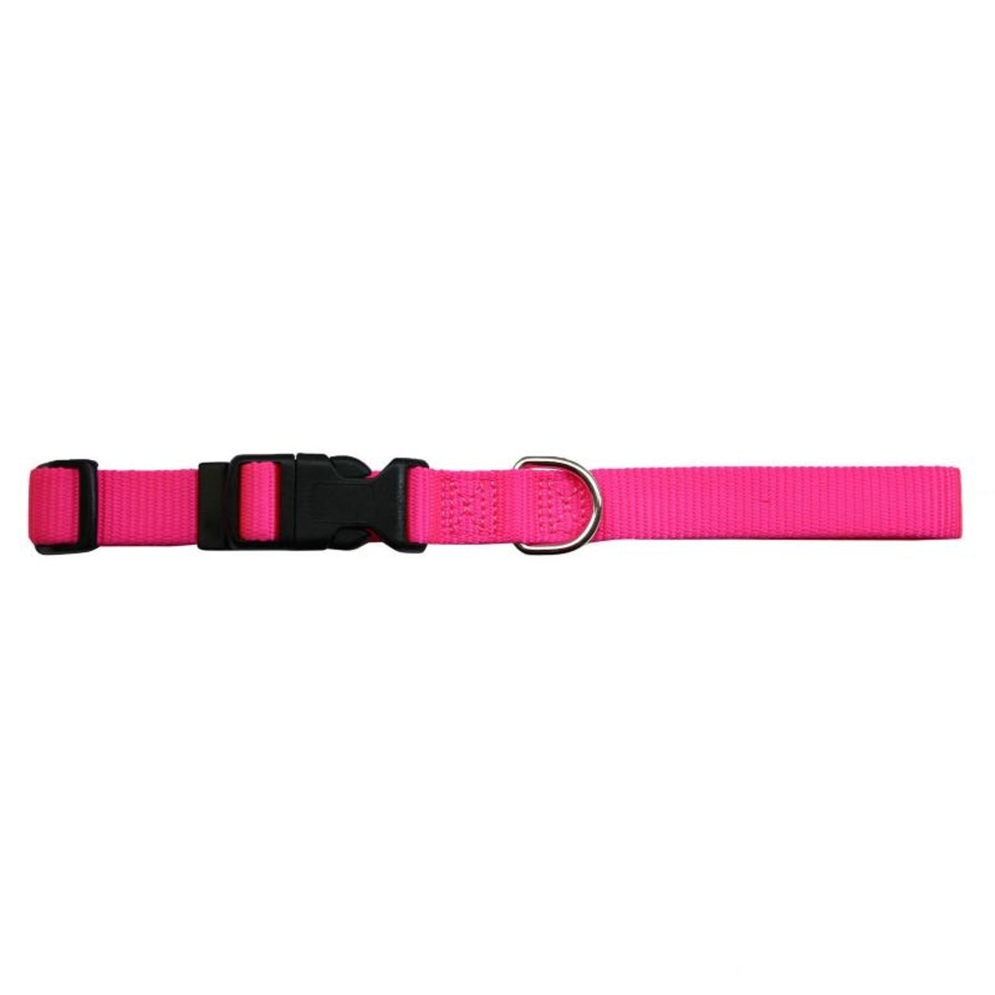 Mini Fish Pills Kwik Klip Adjustable Dog Collar– 1800PetSupplies.com