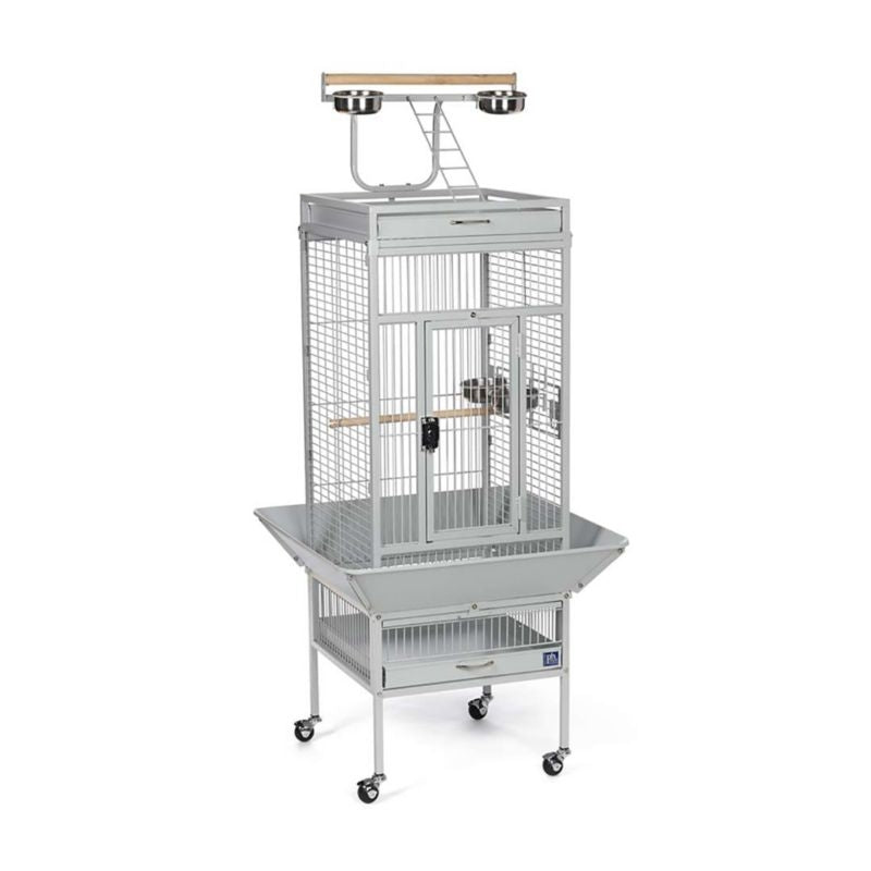 Bird Cages