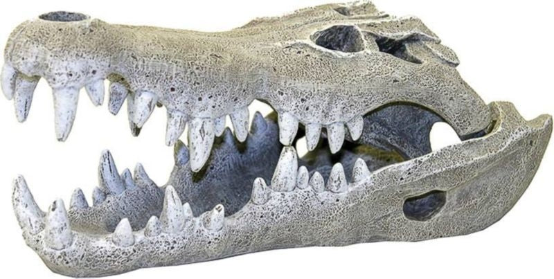 Blue Ribbon Nile Crocodile Skull Ornament