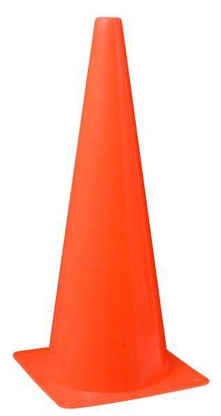 Arena Training Cone