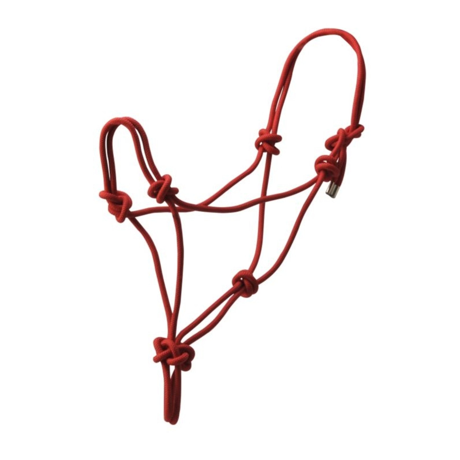 Basic Poly Rope Halter