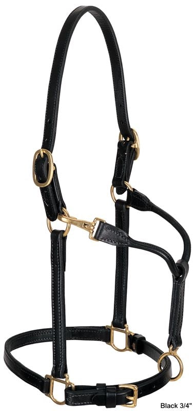 Weaver 1in Leather Track Halter