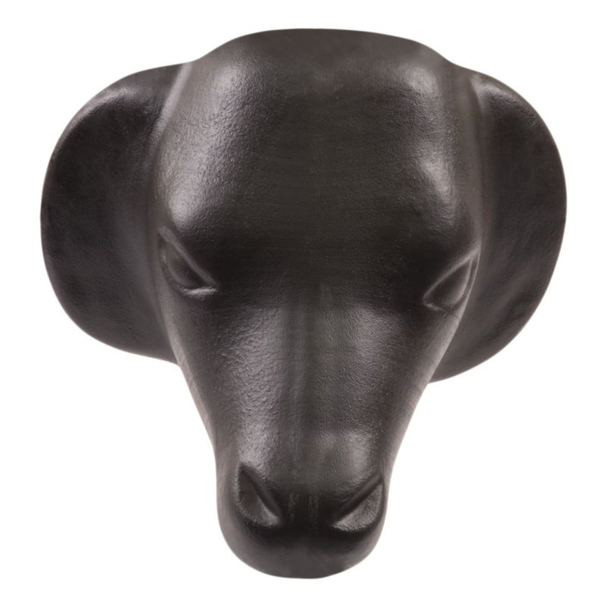 Mustang Calf Head with Rods