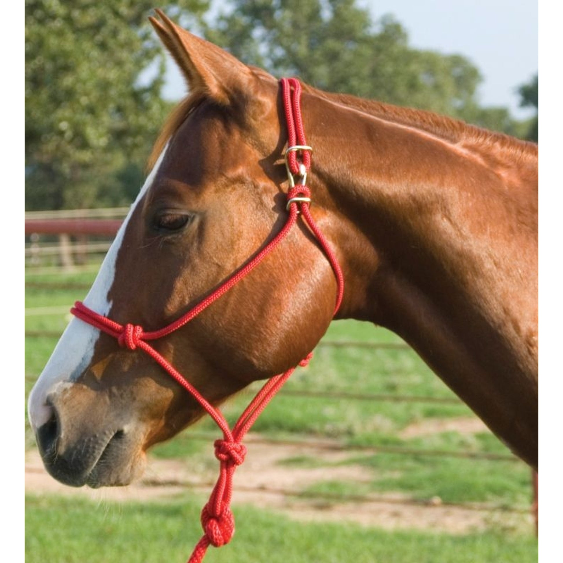 Mustang Easy-On Rope Halter