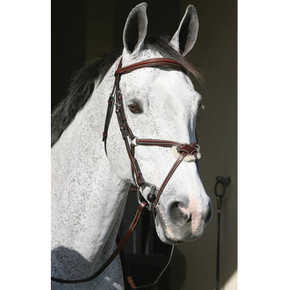 HDR Pro Mono Crown Figure 8 Bridle