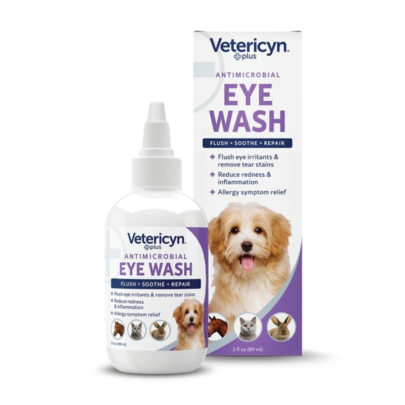 Dog Eye Care