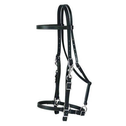 Weaver Brahma Synthetic Halter Bridle