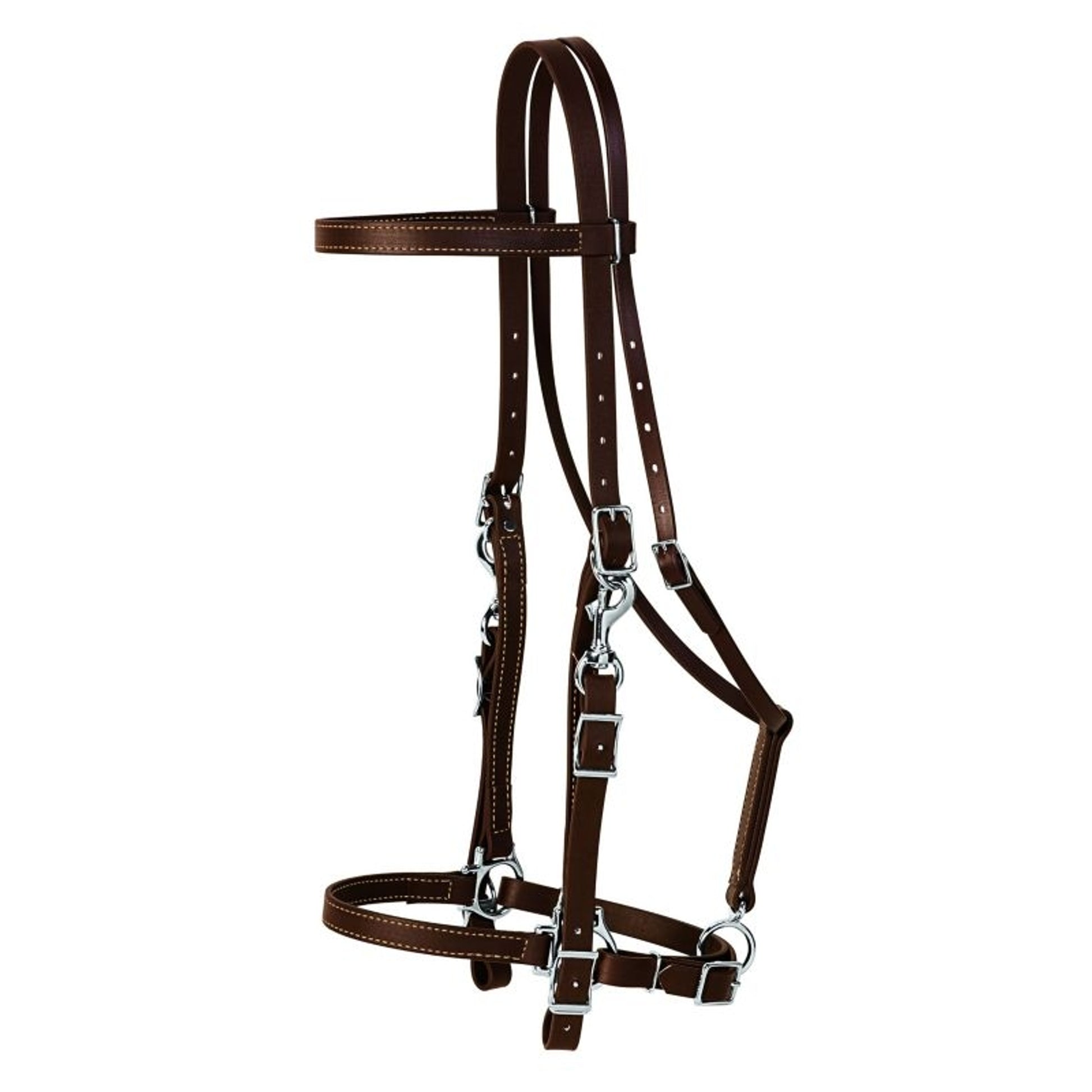Weaver Brahma Synthetic Halter Bridle