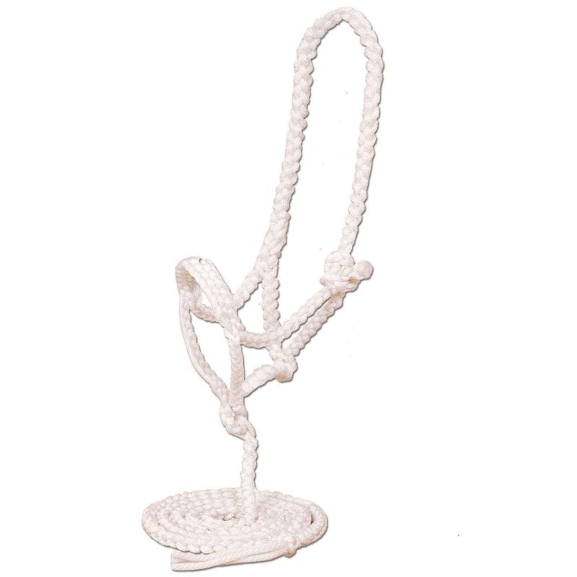 Mustang Flat Plaited Noseband Halter with Lead