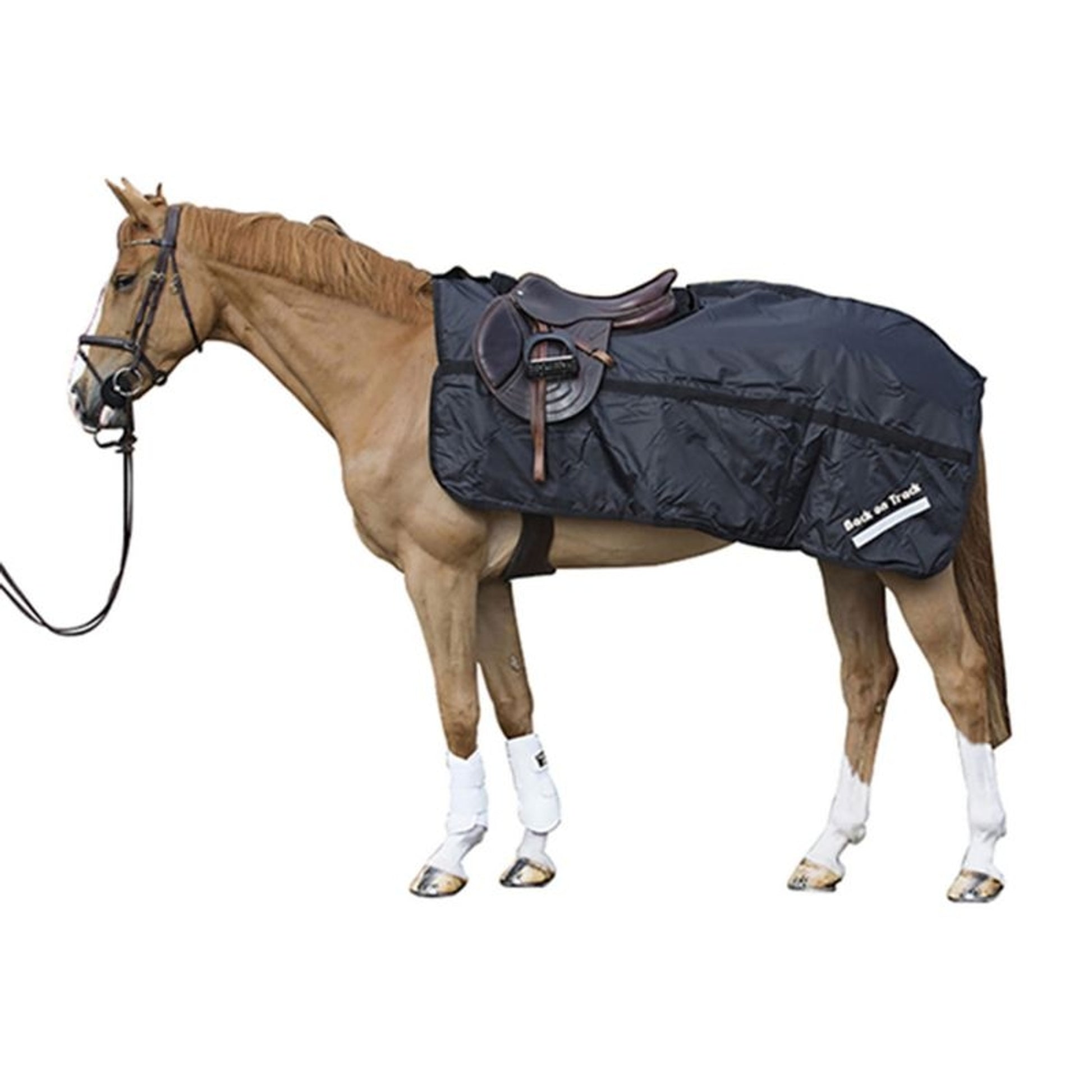 BOT Therapeutic Nylon Exercise Sheet