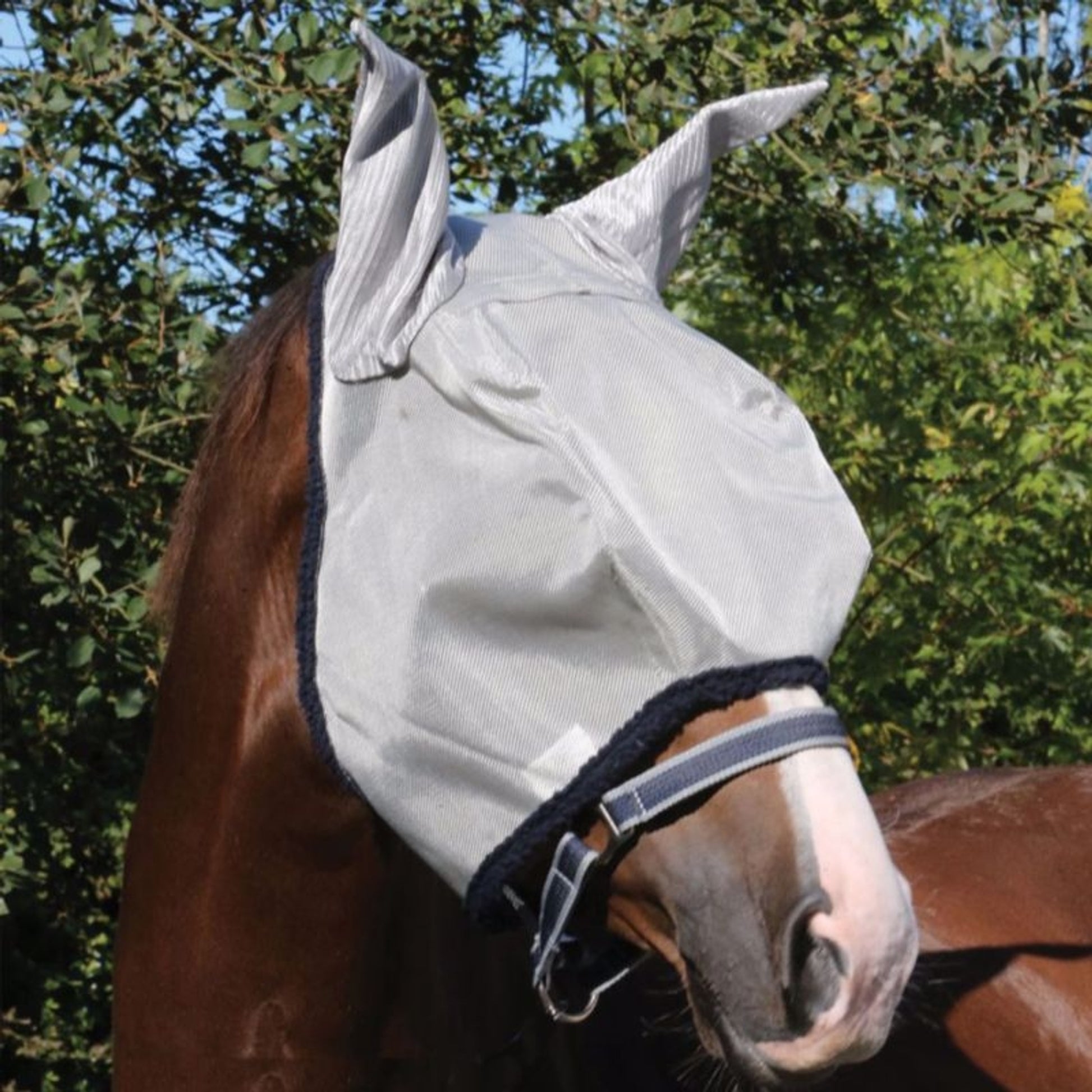 Amigo Fly Mask with Ears