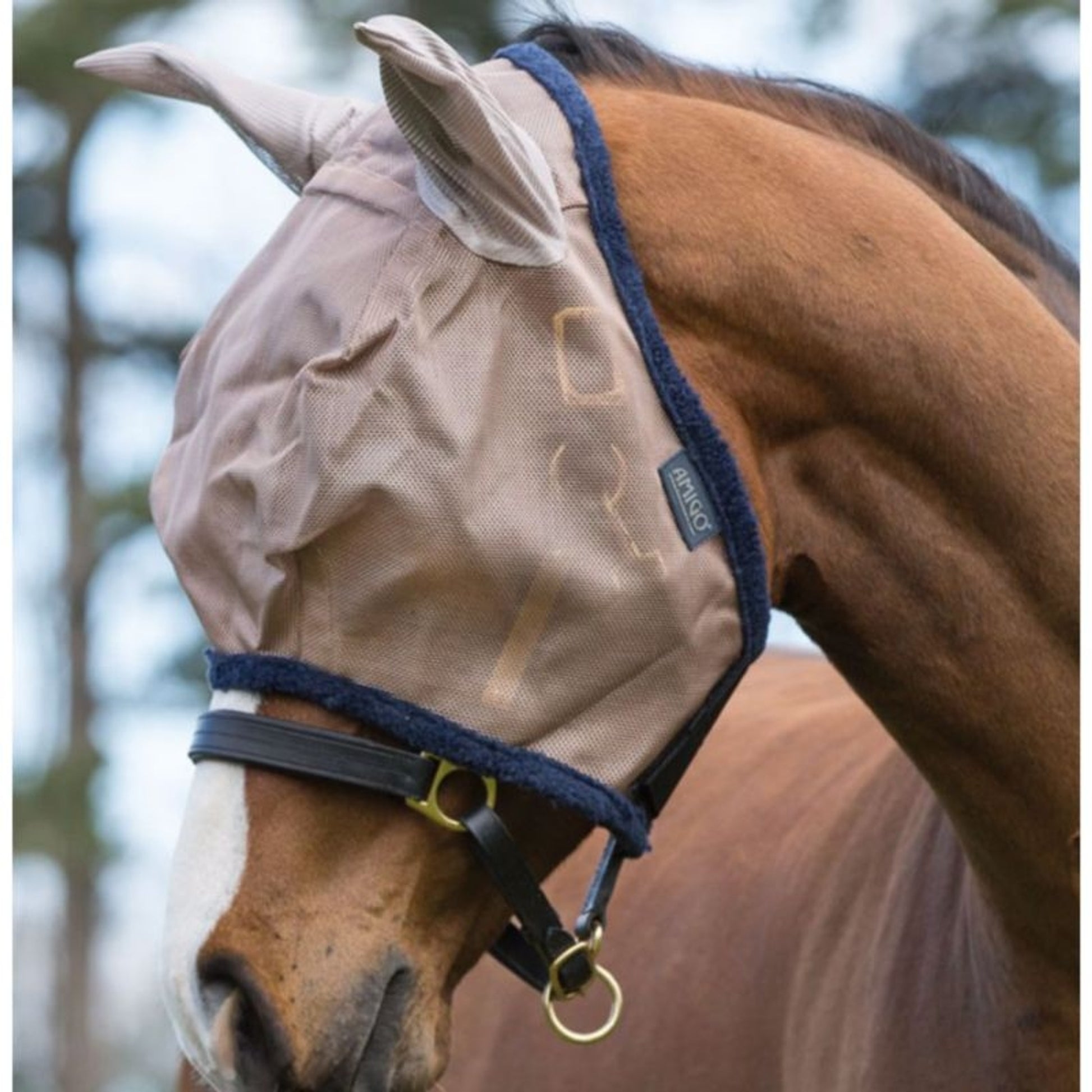 Amigo Fly Mask with Ears