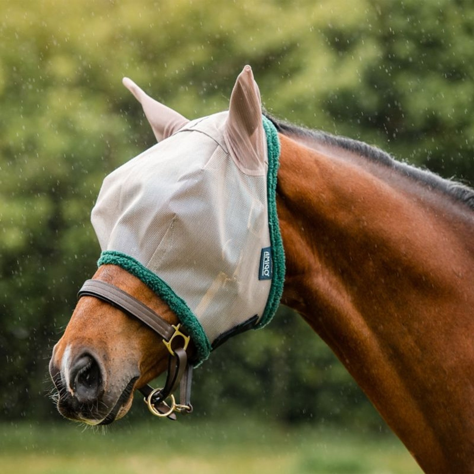 Amigo Fly Mask with Ears