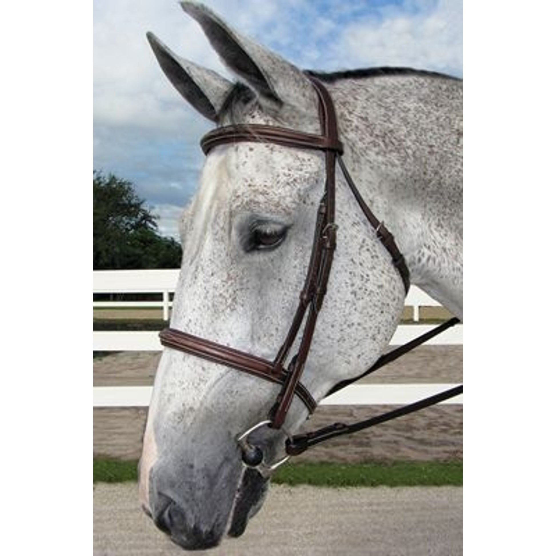 HDR Pro Mono Crown Fancy Padded Bridle