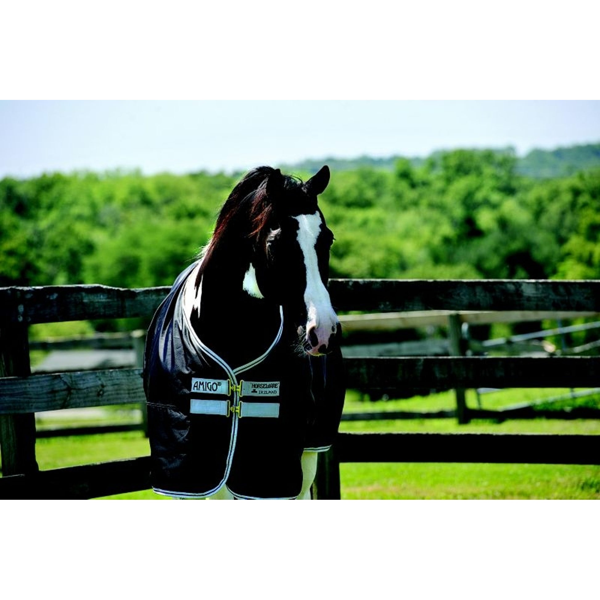 Amigo Stock Horse Turnout Blanket Medium 200g
