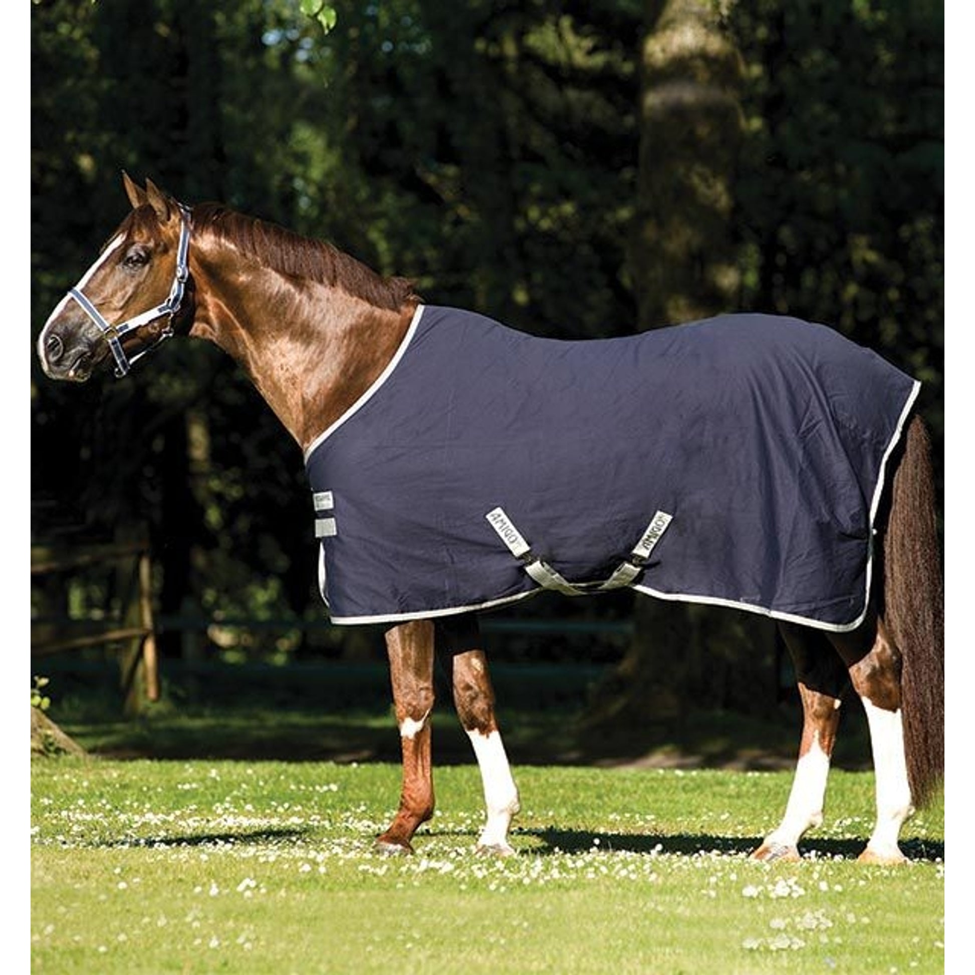 Amigo Stable Sheet