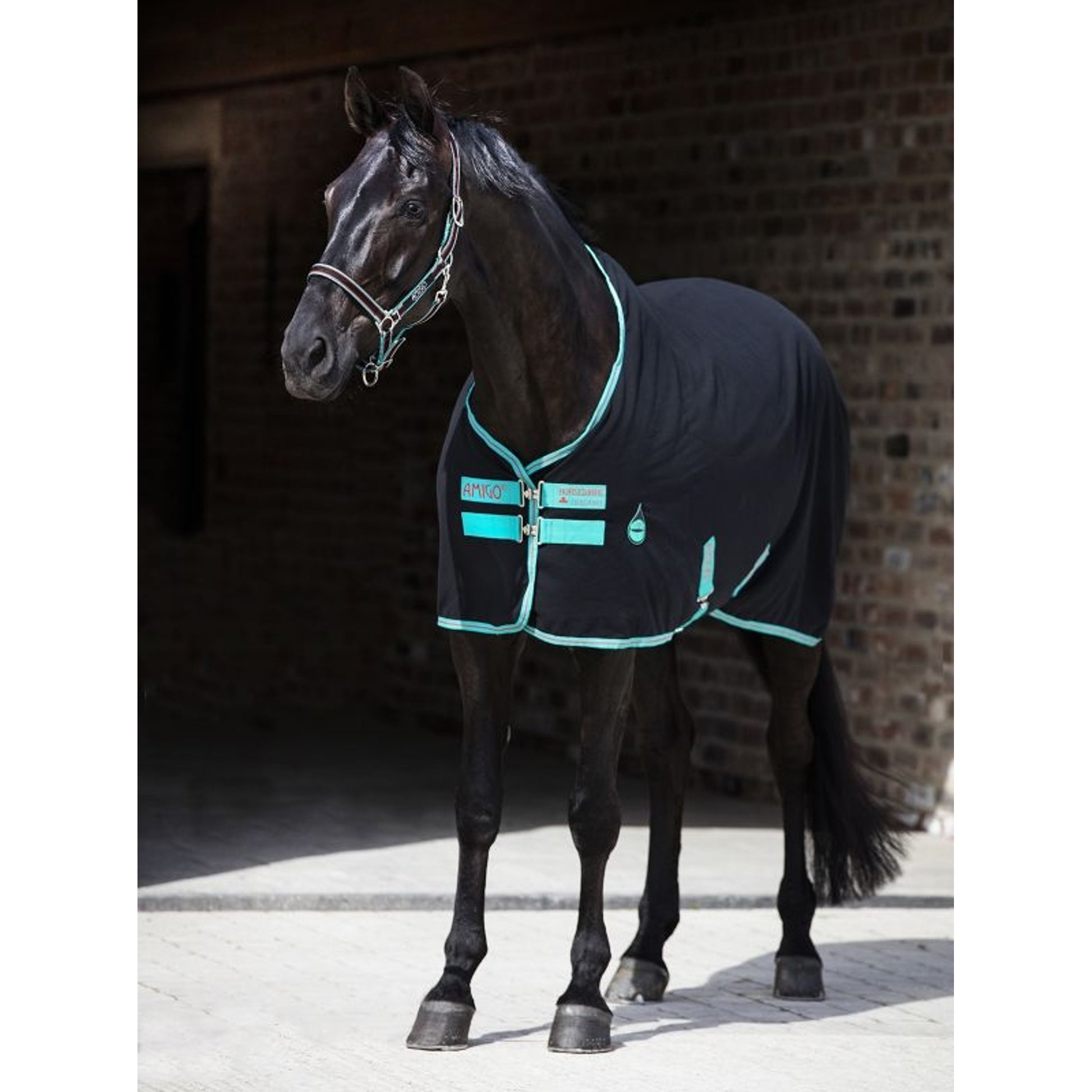 Amigo Stable Sheet
