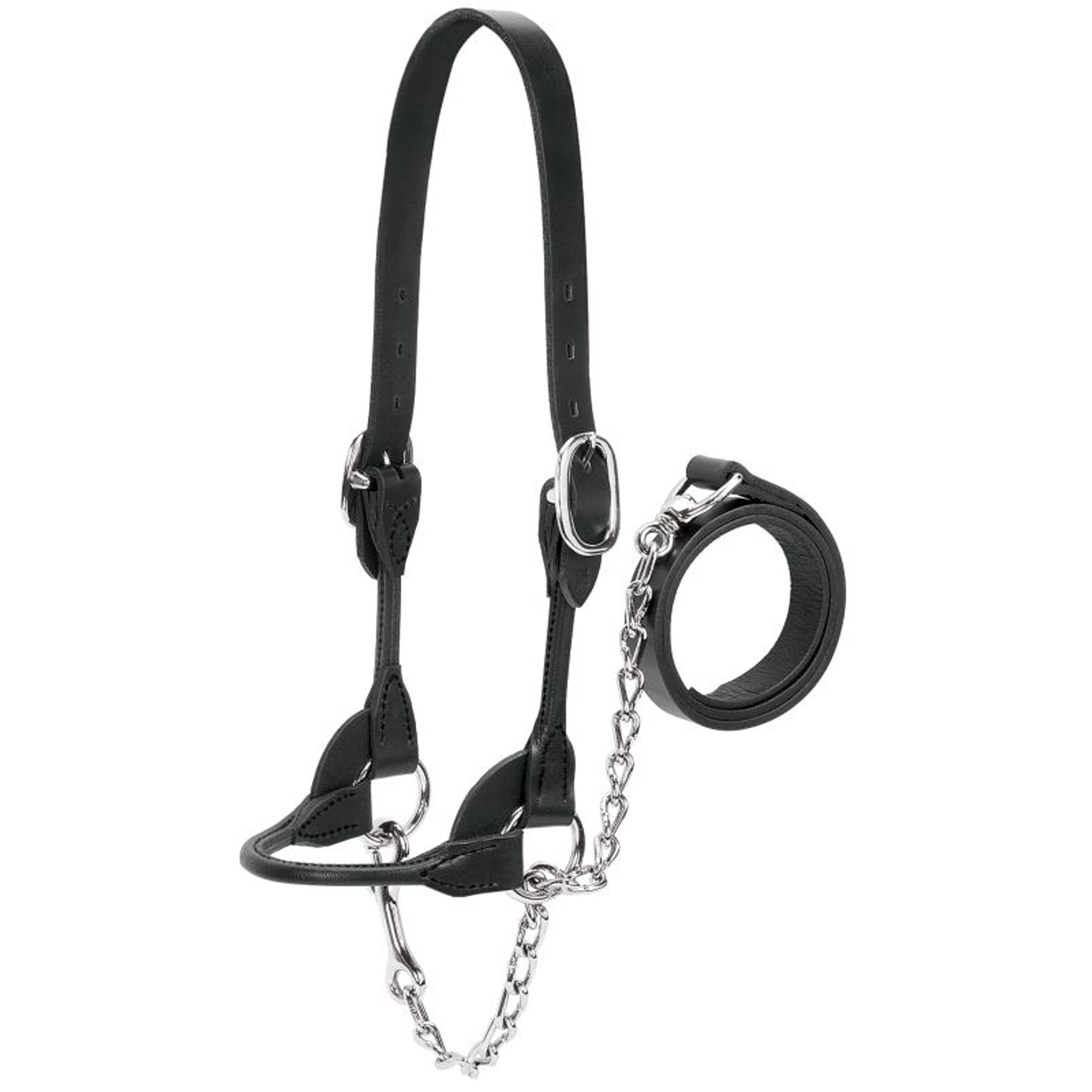 Dairy Beef Rounded Show Halter