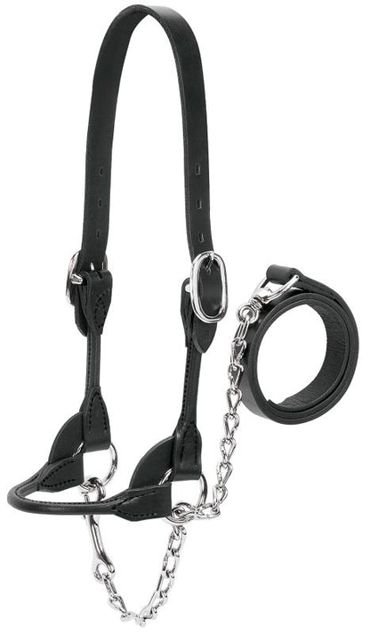 Dairy Beef Rounded Show Halter