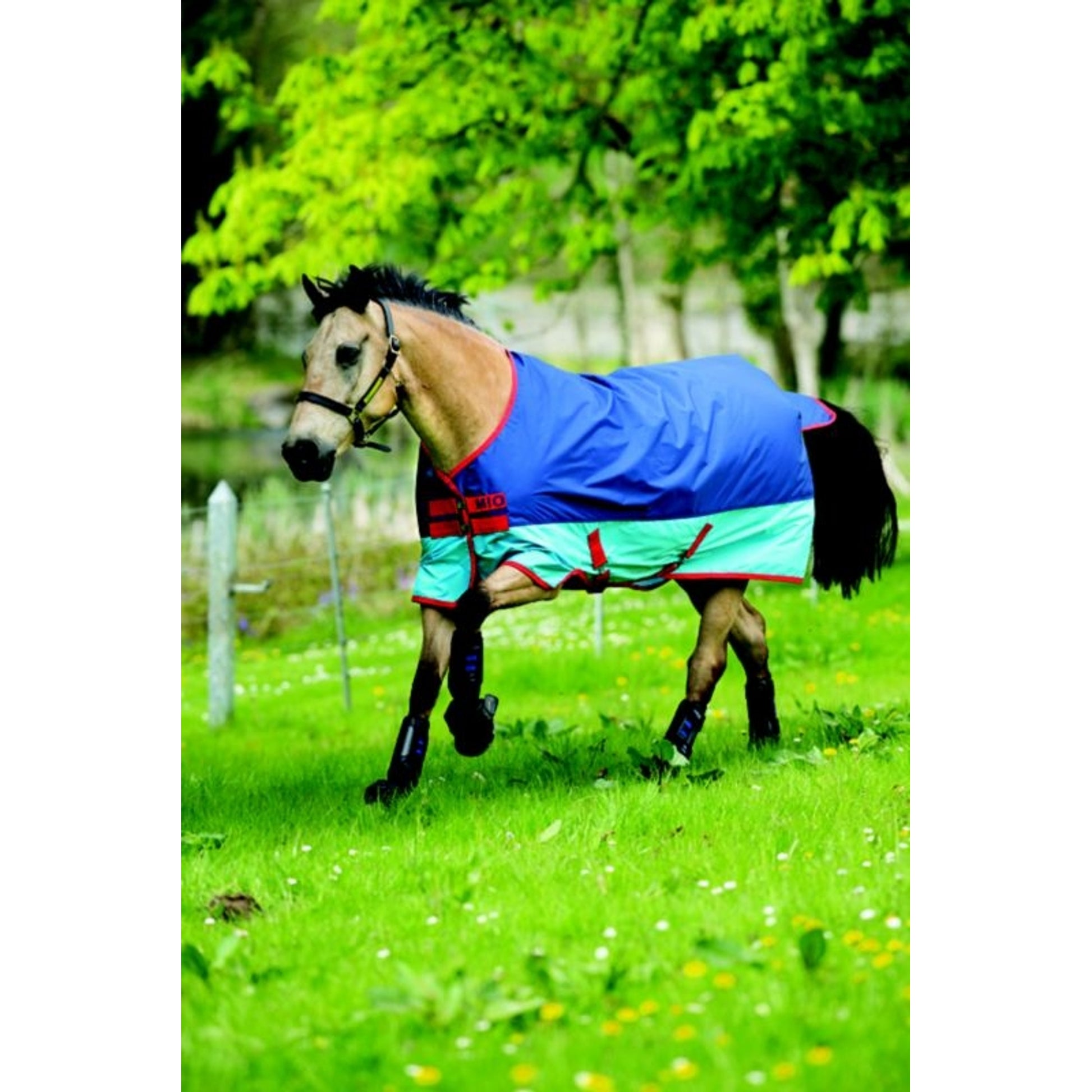 Mio Turnout Sheet Lite