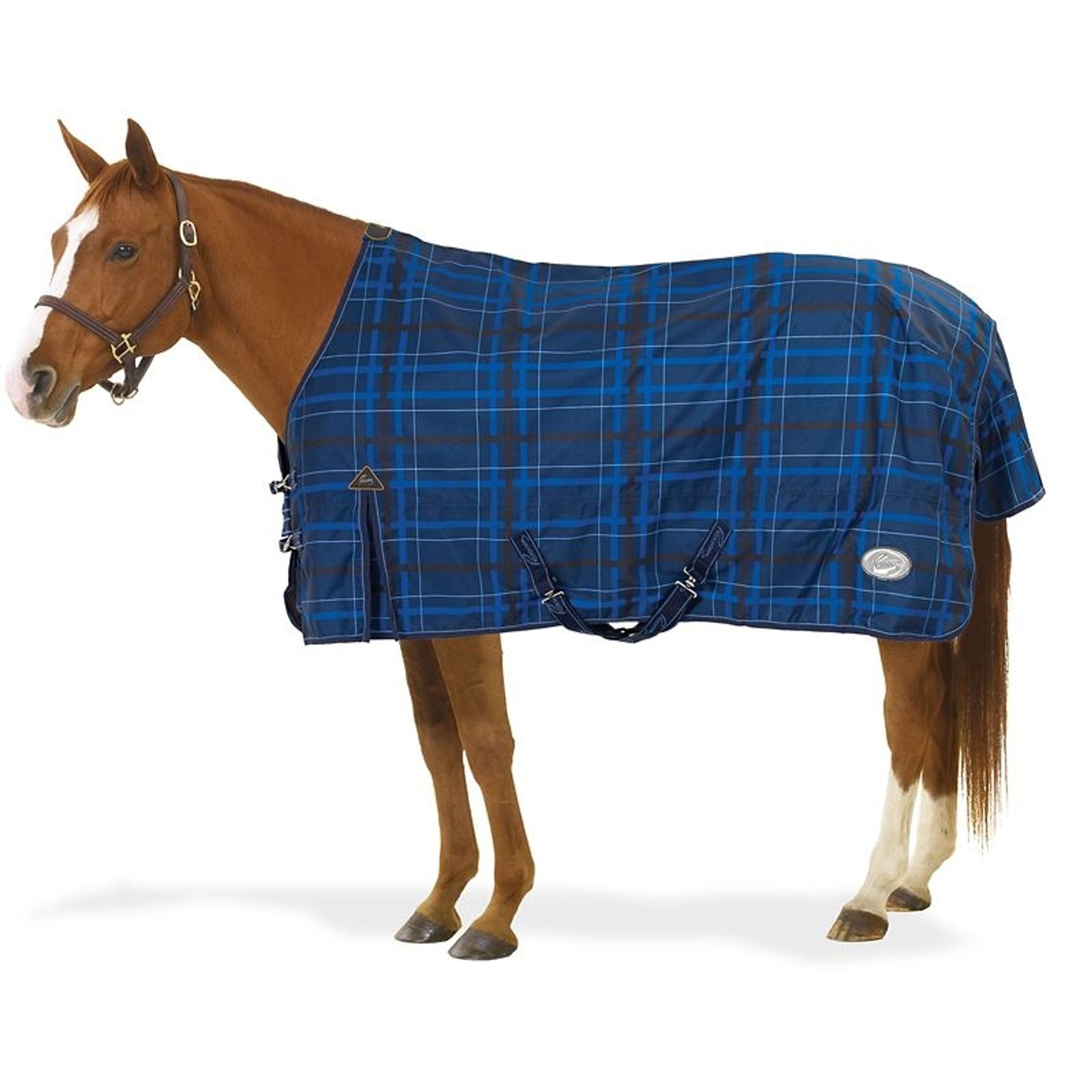 Pessoa Alpine Turnout Sheet 70 Clay/Amethyst