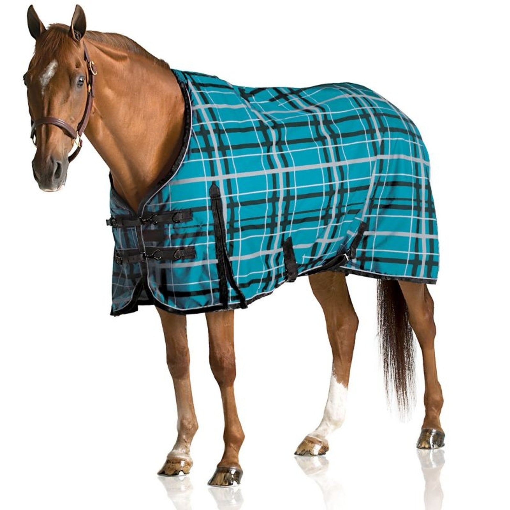 Pessoa Alpine Turnout Sheet 70 Clay/Amethyst