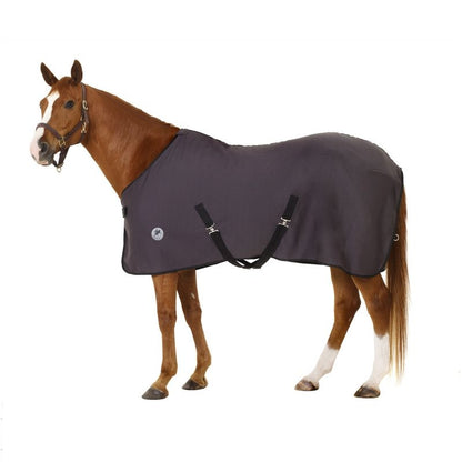 Centaur Turbo-Dry Cooler