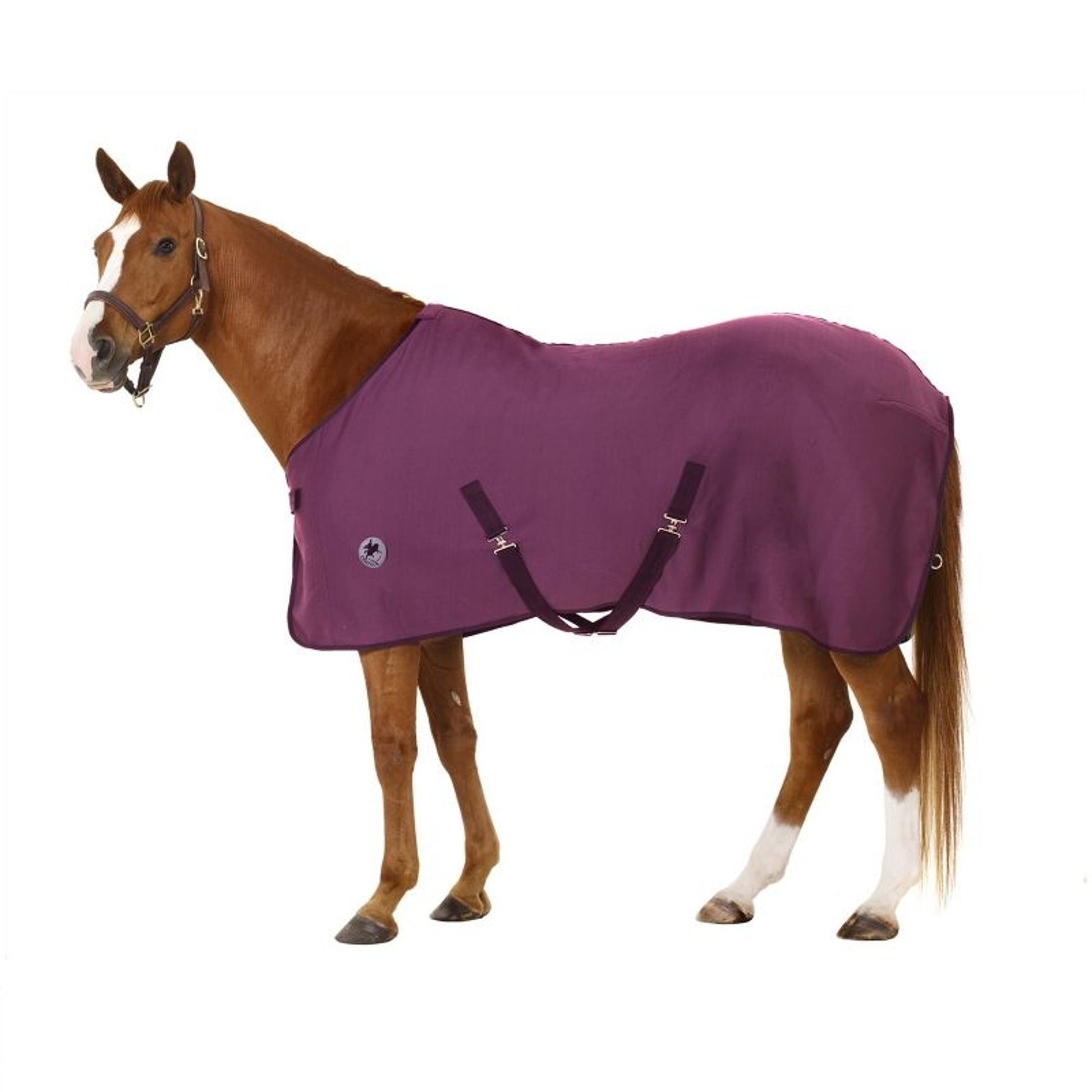 Centaur Turbo-Dry Cooler