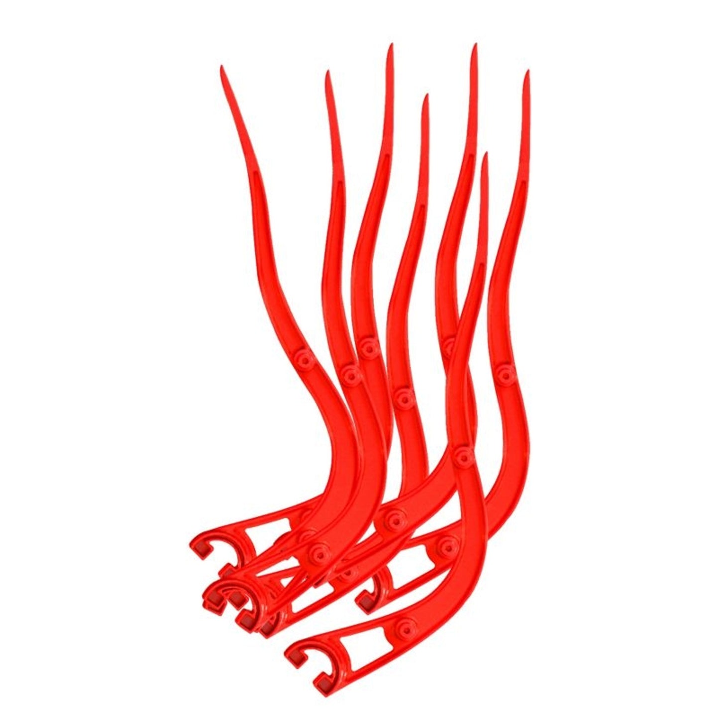 TE013501_466408.jpg