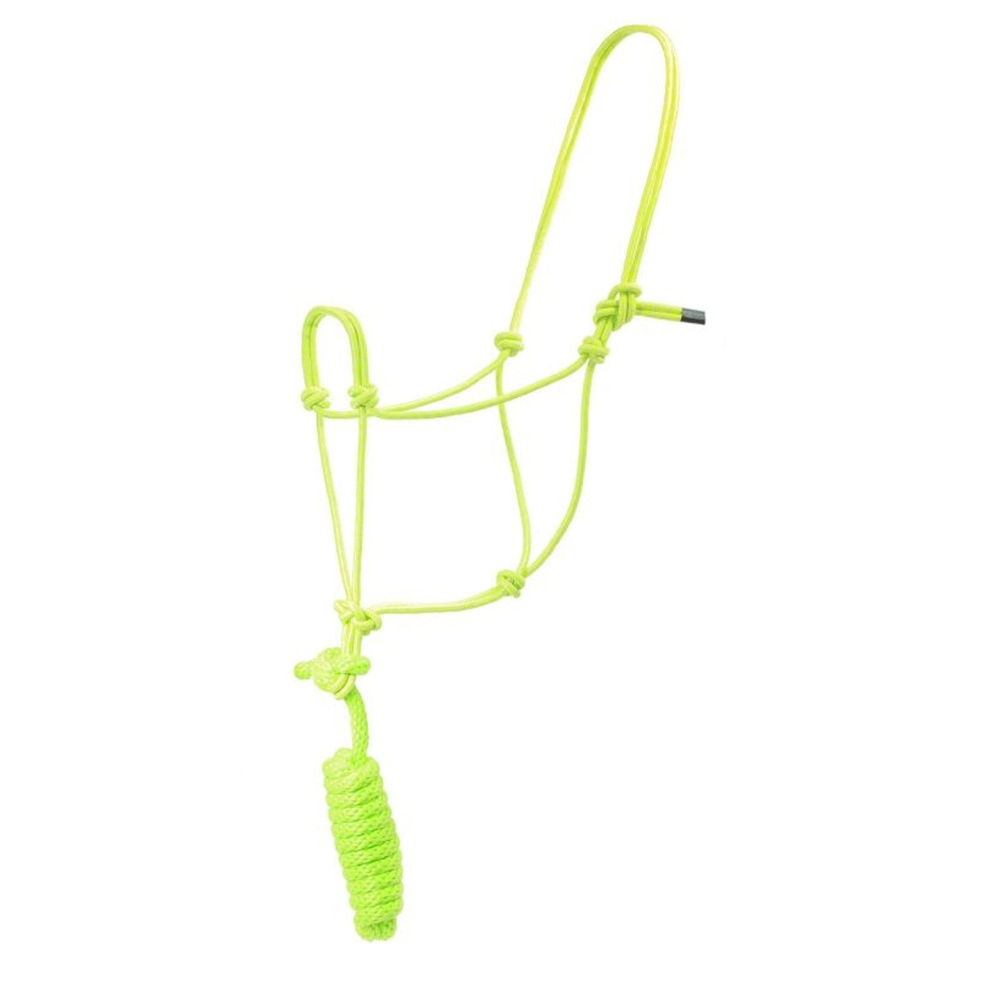 Basic Poly Rope Halter with Lead