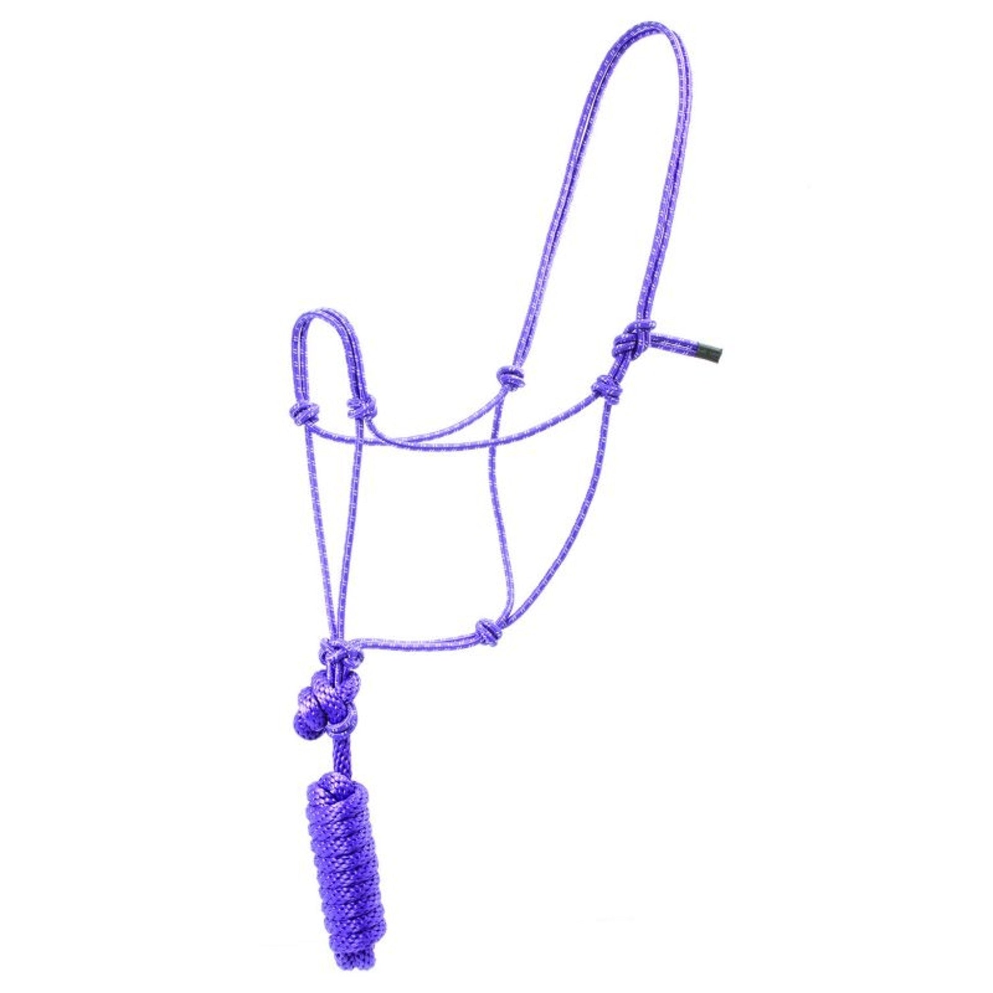 Basic Poly Rope Halter with Lead
