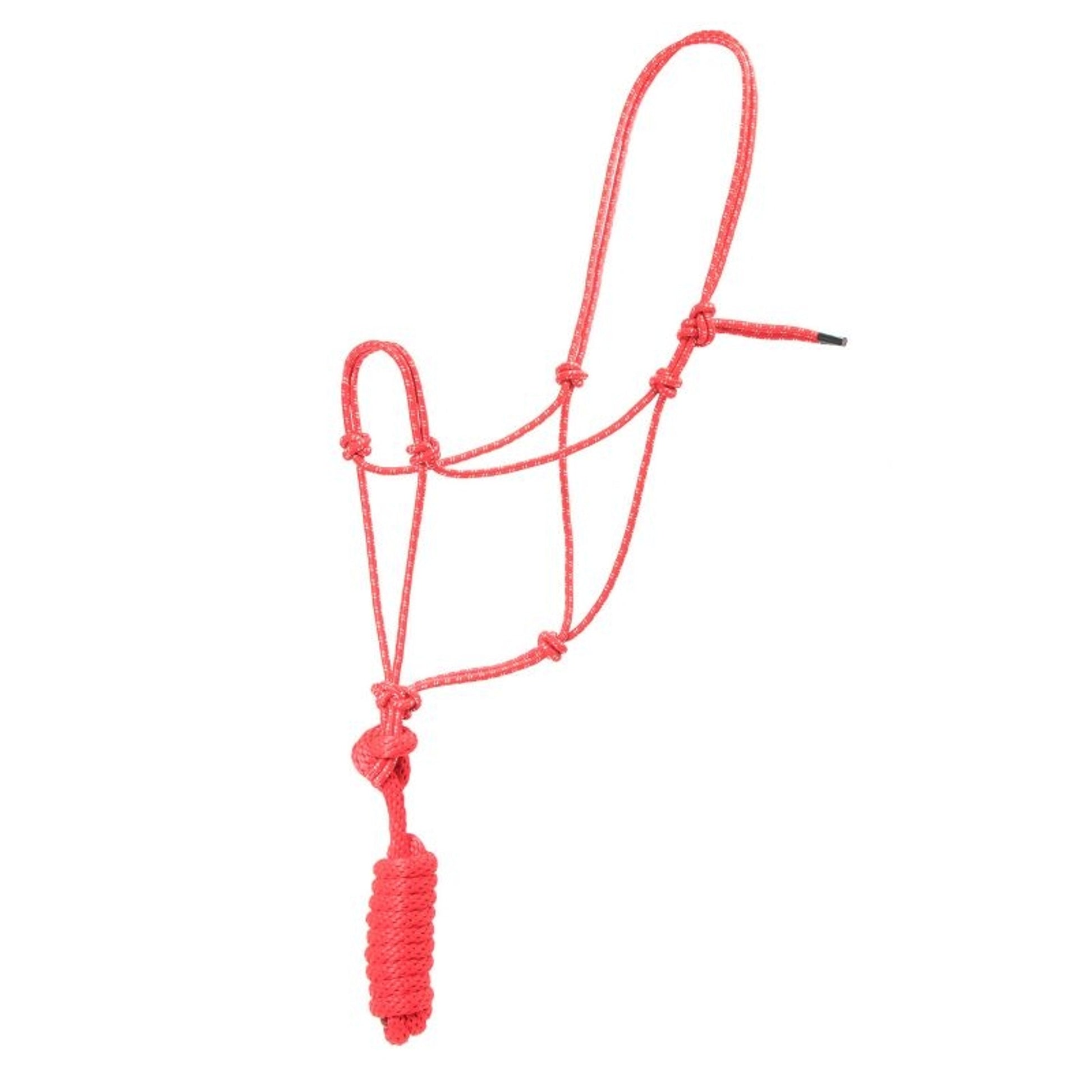 Basic Poly Rope Halter with Lead