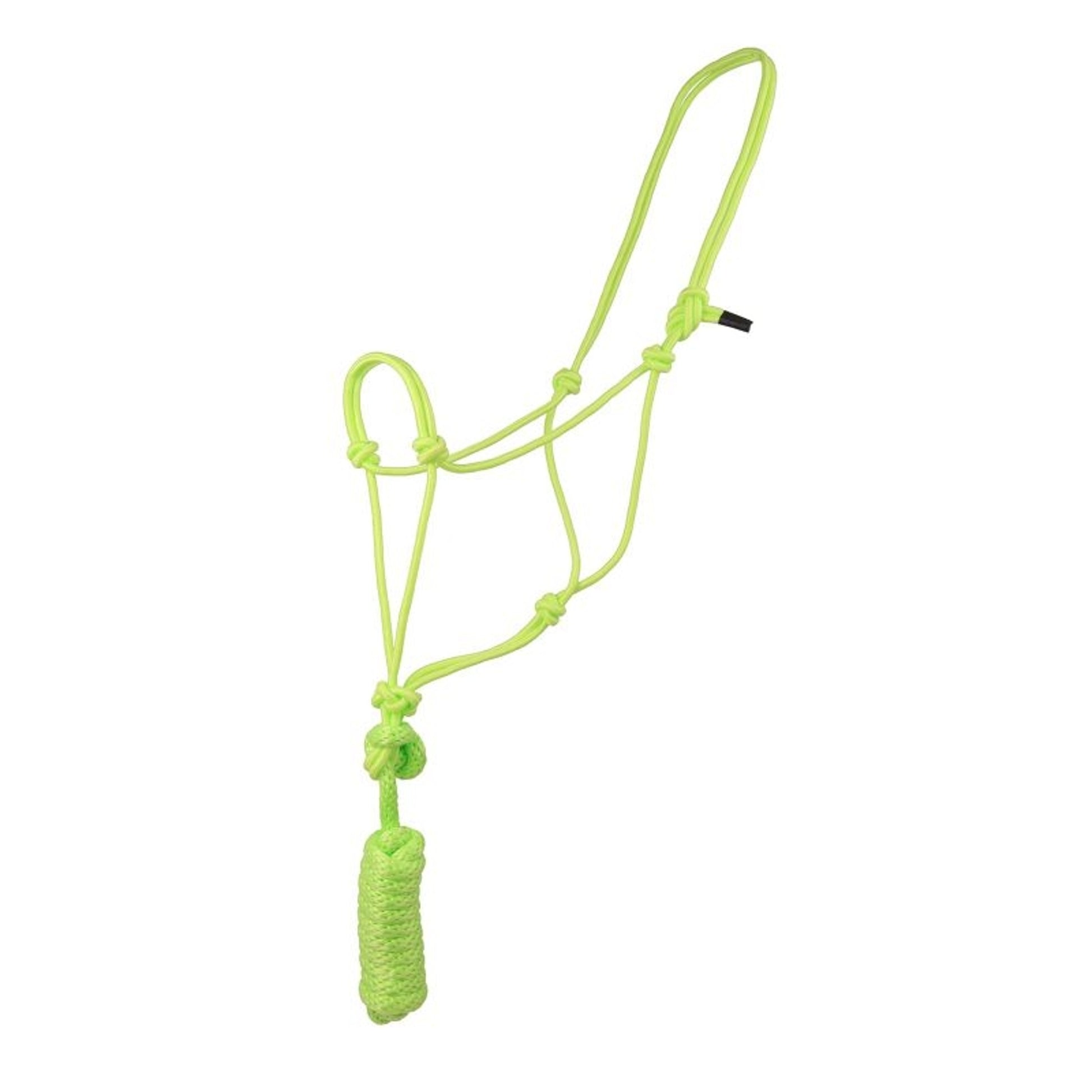 Basic Poly Rope Halter with Lead