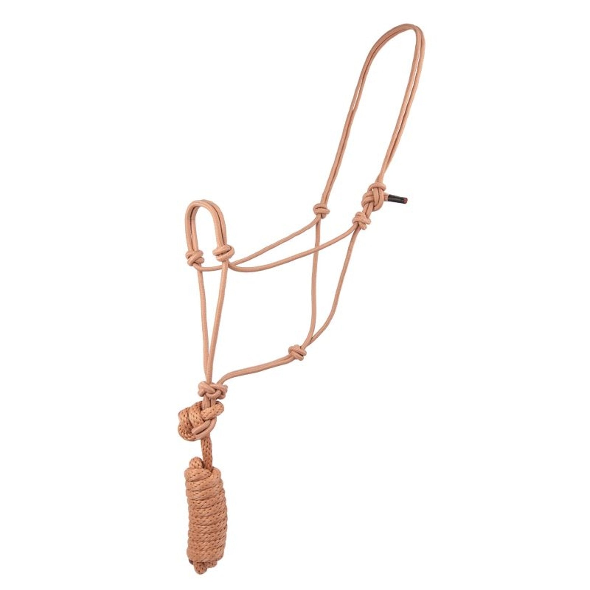 Basic Poly Rope Halter with Lead