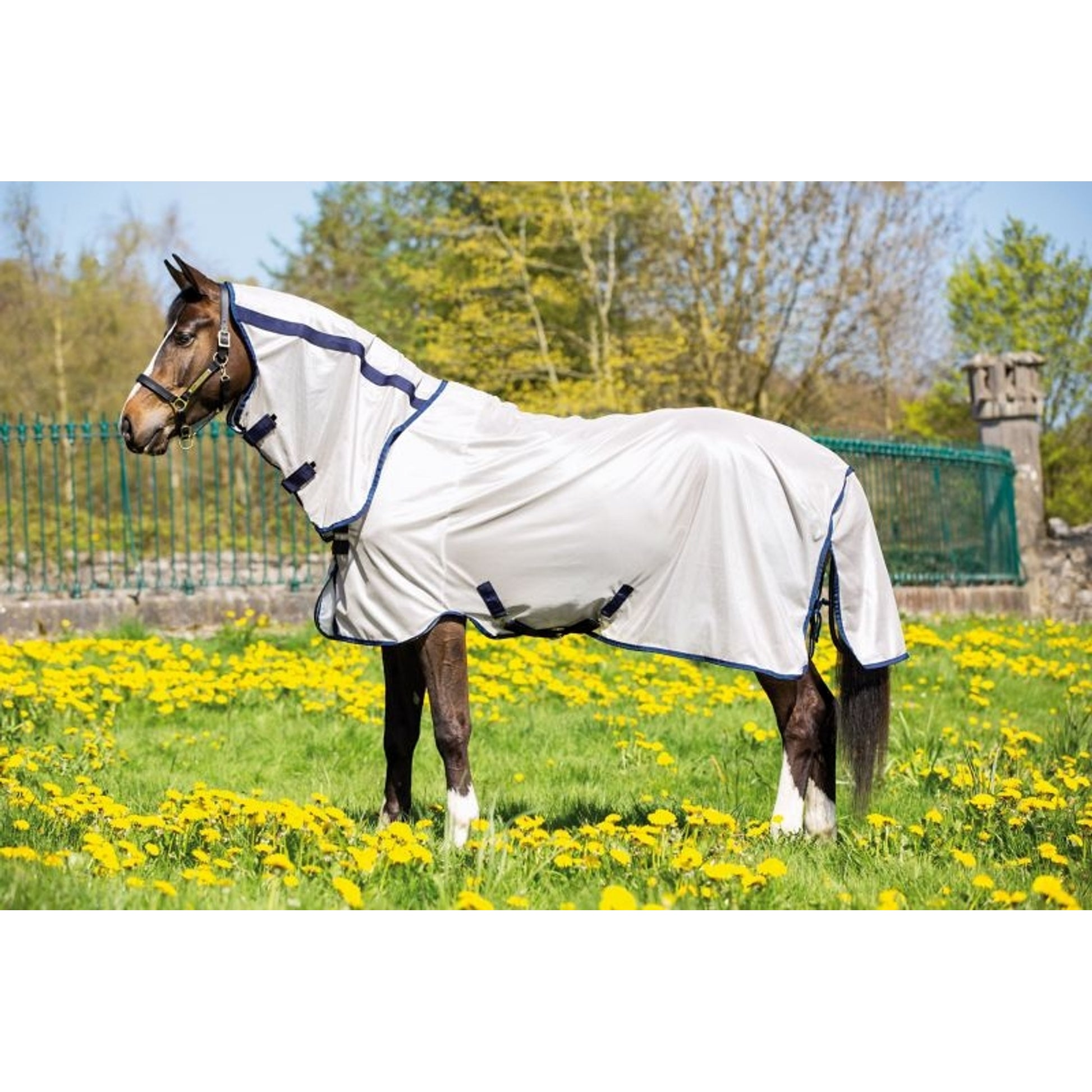 Amigo Mio Combo Flysheet