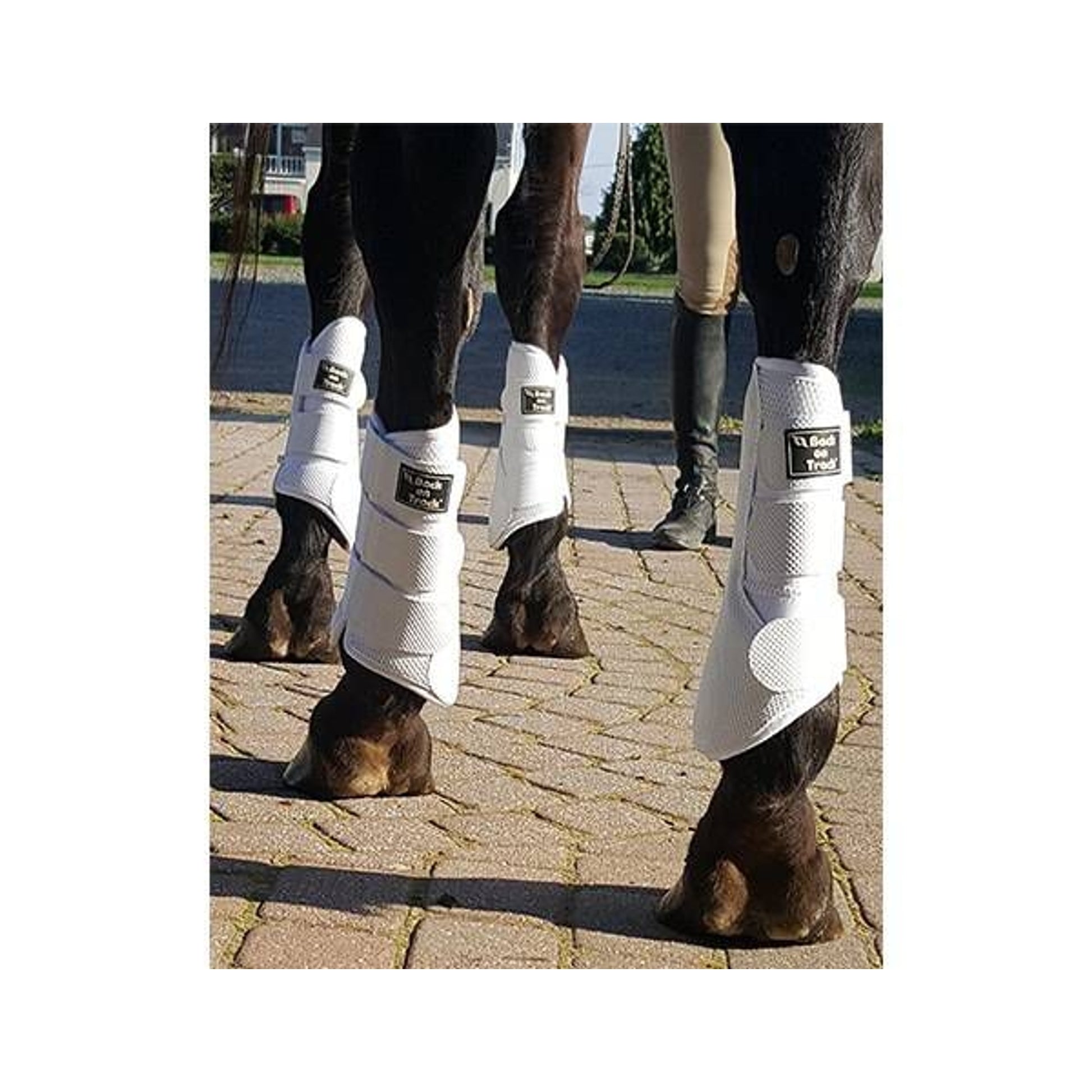 Back On Track 3D Mesh Plain Splint/Brush Boots